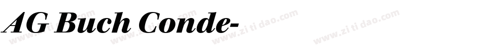 AG Buch Conde字体转换